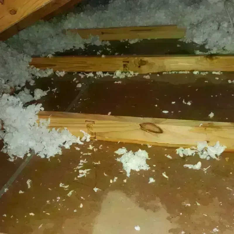 Attic Water Damage in South Pasadena, CA